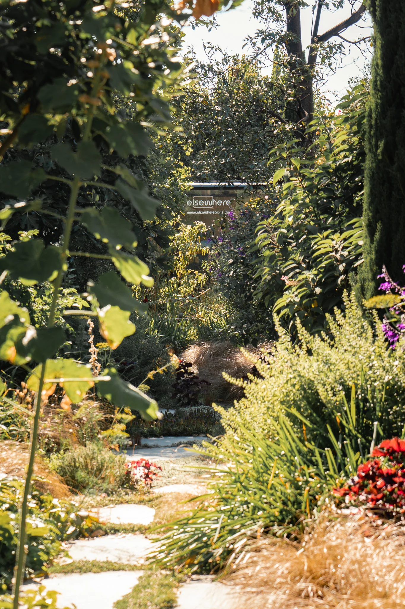 Clifton Hill | 6m Granny Flat Art Studio - Image 5